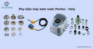 Phụ kiện máy bơm nước Pentax Italy